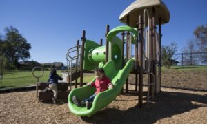 Children running and playing on a slide and jungle gym